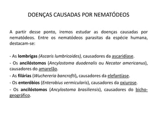 DOENÇAS CAUSADAS POR NEMATÓDEOS
A partir desse ponto, iremos estudar as doenças causadas por
nematódeos. Entre os nematódeos parasitas da espécie humana,
destacam-se:
- As lombrigas (Ascaris lumbricoides), causadores da ascaridíase.
- Os ancilóstomos (Ancylostoma duodenalis ou Necator americanus),
causadores do amarelão.
- As filárias (Wuchereria bancrofti), causadores da elefantíase.
- Os enteróbios (Enterobius vermicularis), causadores da oxiurose.
- Os ancilóstomos (Ancylostoma brasiliensis), causadores do bicho-
geográfico.
 
