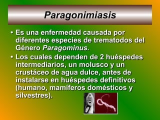 Paragonimiasis
• Es una enfermedad causada por
diferentes especies de trematodos del
Género Paragominus.
• Los cuales dependen de 2 huéspedes
intermediarios, un molusco y un
crustáceo de agua dulce, antes de
instalarse en huéspedes definitivos
(humano, mamíferos domésticos y
silvestres).
 