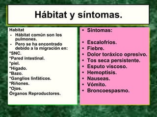 Hábitat y síntomas.
Habitat
- Hábitat común son los
pulmones.
- Pero se ha encontrado
debido a la migración en:
*SNC.
*Pared intestinal.
*piel.
*Hígado.
*Bazo.
*Ganglios linfáticos.
*Riñones.
*Ojos.
Órganos Reproductores.
• Síntomas:
• Escalofríos.
• Fiebre.
• Dolor toráxico opresivo.
• Tos seca persistente.
• Esputo viscoso.
• Hemoptisis.
• Nauseas.
• Vómito.
• Broncoespasmo.
 