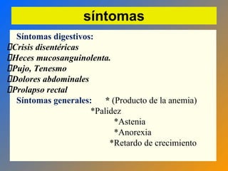 Síntomas digestivos:
Crisis disentéricas
Heces mucosanguinolenta.
Pujo, Tenesmo
Dolores abdominales
Prolapso rectal
Síntomas generales: * (Producto de la anemia)
*Palidez
*Astenia
*Anorexia
*Retardo de crecimiento
síntomas
 