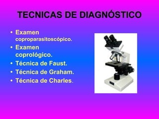 TECNICAS DE DIAGNÓSTICO
• Examen
coproparasitoscópico.
• Examen
coprológico.
• Técnica de Faust.
• Técnica de Graham.
• Técnica de Charles.
 