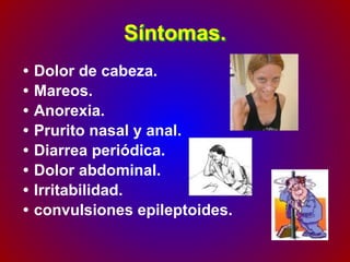 Síntomas.
• Dolor de cabeza.
• Mareos.
• Anorexia.
• Prurito nasal y anal.
• Diarrea periódica.
• Dolor abdominal.
• Irritabilidad.
• convulsiones epileptoides.
 