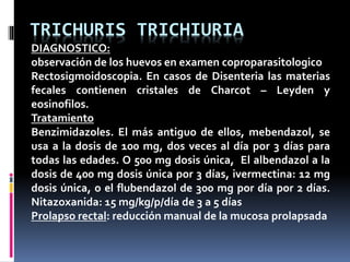 TRICHURIS TRICHIURIA
DIAGNOSTICO:
observación de los huevos en examen coproparasitologico
Rectosigmoidoscopia. En casos de Disenteria las materias
fecales contienen cristales de Charcot – Leyden y
eosinofilos.
Tratamiento
Benzimidazoles. El más antiguo de ellos, mebendazol, se
usa a la dosis de 100 mg, dos veces al día por 3 días para
todas las edades. O 500 mg dosis única, El albendazol a la
dosis de 400 mg dosis única por 3 días, ivermectina: 12 mg
dosis única, o el flubendazol de 300 mg por día por 2 días.
Nitazoxanida: 15 mg/kg/p/día de 3 a 5 días
Prolapso rectal: reducción manual de la mucosa prolapsada
 