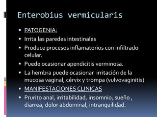 Enterobius vermicularis
 PATOGENIA:
 Irrita las paredes intestinales
 Produce procesos inflamatorios con infiltrado
celular.
 Puede ocasionar apendicitis verminosa.
 La hembra puede ocasionar irritación de la
mucosa vaginal, cérvix y trompa (vulvovaginitis)
 MANIFESTACIONES CLINICAS
 Prurito anal, irritabilidad, insomnio, sueño ,
diarrea, dolor abdominal, intranquilidad.
 