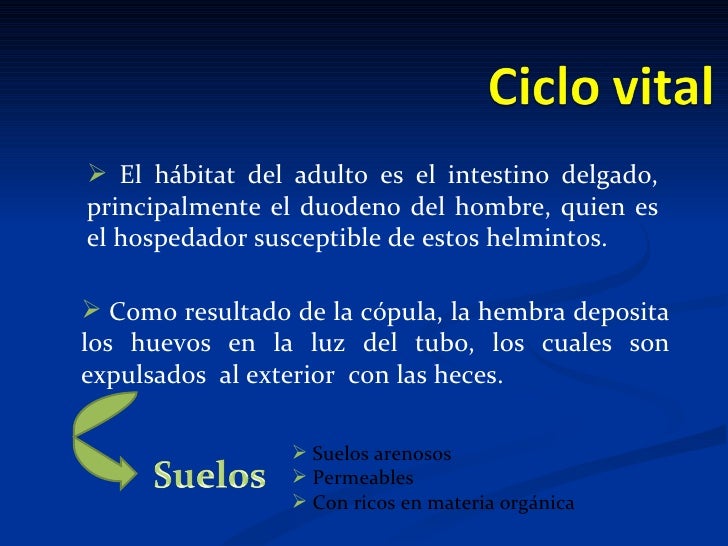 El antigen kal sobre la lamblia