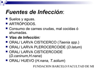 Fuentes de Infección:
   Suelos y aguas.
   ARTRÓPODOS.
   Consumo de carnes crudas, mal cocidas ó
    ahumadas.
   Vías de Infección:
   ORAL/ LARVA CISTICERCO (Taenia spp.)
   ORAL/ LARVA PLEROCERCOIDE (D.latum)
   ORAL/ LARVA CISTICERCOIDE
    (D.caninum,H.nana)
   ORAL/ HUEVO (H.nana, T.solium)
                FUNDACION BARCELO FACULTAD DE ME
 