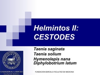 Helmintos II:
CESTODES
Taenia saginata
Taenia solium
Hymenolepis nana
Diphylobotrium latum
FUNDACION BARCELO FACULTAD DE MEDICINA
 