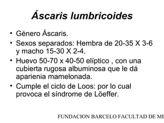 Áscaris lumbricoides
• Género Áscaris.
• Sexos separados: Hembra de 20-35 X 3-6
  y macho 15-30 X 2-4.
• Huevo 50-70 x 40-50 elíptico , con una
  cubierta rugosa albuminosa que le dá
  aparienia mamelonada.
• Cumple el ciclo de Loos: por lo cual
  provoca el síndrome de Löeffer.

             FUNDACION BARCELO FACULTAD DE ME
 