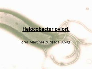 Helocobacter pylori.
Flores Martínez Zurisadai Abigail.
 
