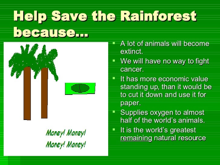 Help Save The Rainforest