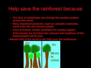 Help save the rainforest because The loss of rainforests can change the weather pattern across the world Many important products, such as valuable medicines, come from the rain forest's plants. Loss of forests creates problems for nearby regions If the forests are lost then the cultures and traditions of the forest people will be lost. --Almost half of the world’s rain falls over the rainforests   