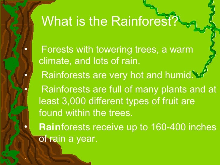 what are rainforests Tropical rainforest: tropical rainforest, luxuriant forest found in wet tropical uplands and lowlands near the equator tropical rainforests are dominated by broad-leaved trees that form a dense upper canopy and contain a wide array of vegetation and other life. what are rainforests Tropical rainforest: tropical rainforest, luxuriant forest found in wet tropical uplands and lowlands near the equator tropical rainforests are dominated by broad-leaved trees that form a dense upper canopy and contain a wide array of vegetation and other life.
