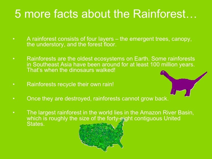 Tropical Rainforest Facts For Kids
