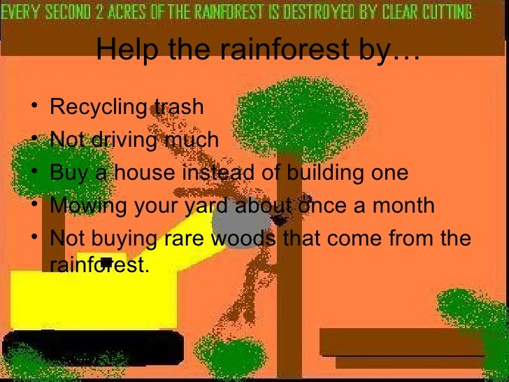 Help Save The Rainforest