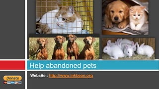 Help abandoned pets
Website : http://www.inkbean.org
 