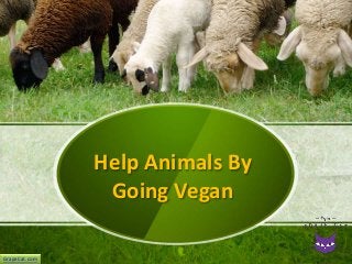 GrapeCat.com
Help Animals By
Going Vegan
 