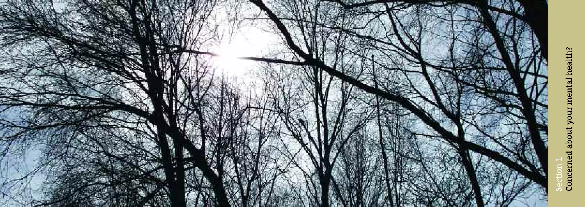 Section 1
Concerned about your mental health?
 