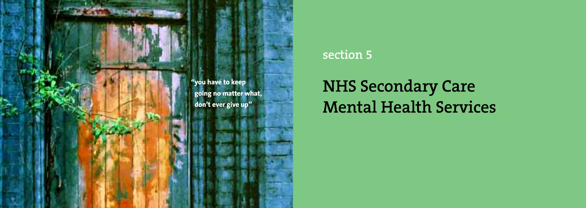 section 5

“you have to keep
 going no matter what,
                         NHS Secondary Care
 don’t ever give up”
                         Mental Health Services
 