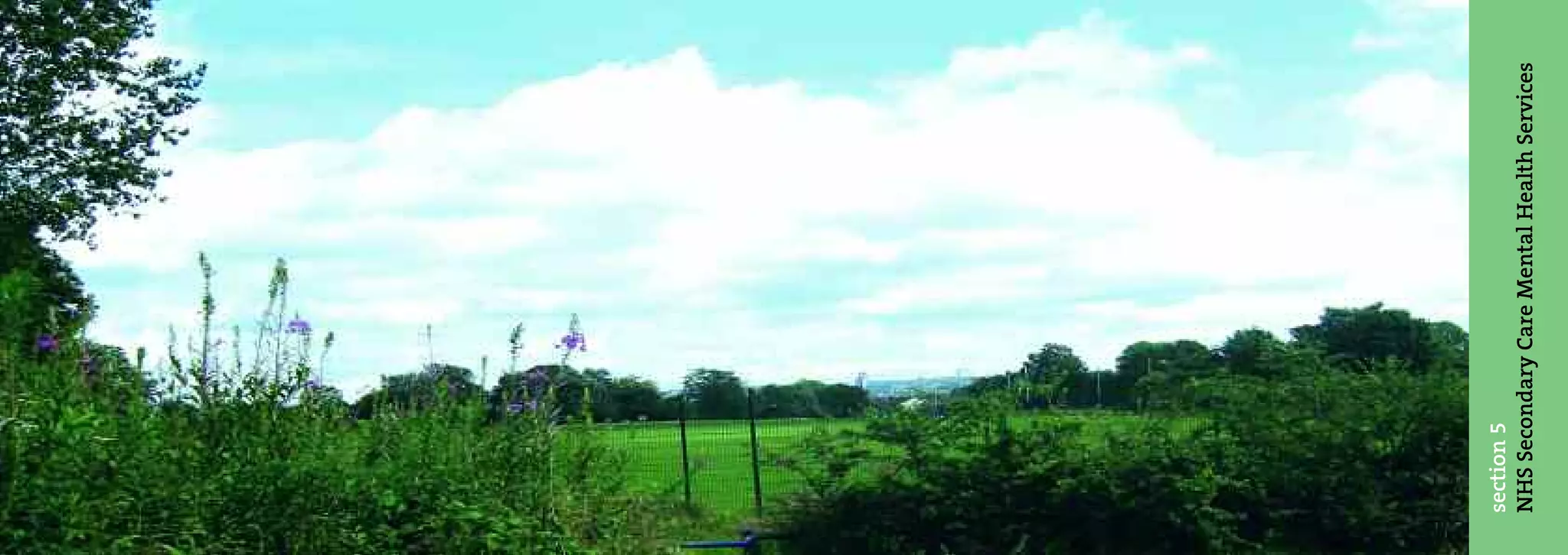 section 5
NHS Secondary Care Mental Health Services
 