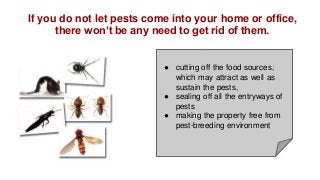 If you do not let pests come into your home or office,
there won’t be any need to get rid of them.
● cutting off the food ...