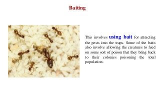 Baiting
This involves using bait for attracting
the pests into the traps. Some of the baits
also involve allowing the creatures to feed
on some sort of poison that they bring back
to their colonies poisoning the total
population.
 
