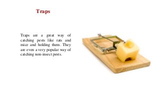Traps are a great way of
catching pests like rats and
mice and holding them. They
are even a very popular way of
catching non-insect pests.
Traps
 