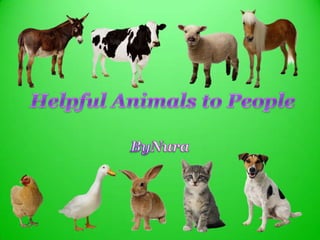 Helpful Animals to People ByNura 
