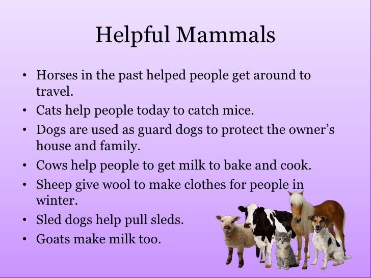 Helpful Animals by N