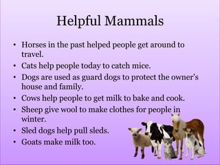 Helpful MammalsHorses in the past helped people get around to travel.Cats help people today to catch mice.Dogs are used as guard dogs to protect the owner’s house and family.Cows help people to get milk to bake and cook.Sheep give wool to make clothes for people in winter.Sled dogs help pull sleds.Goats make milk too.
