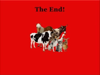 The End!