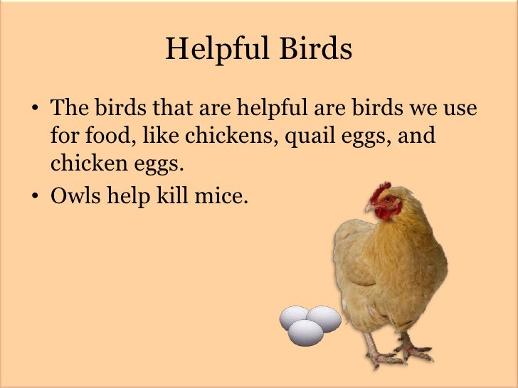 Helpful Animals by N