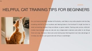 HELPFUL CAT TRAINING TIPS FOR BEGINNERS
no.
So, you have a new little member of the family, and likely a very active playful one! Are they
knocking stuﬀ oﬀ of your counters and tearing holes in the furniture? It might be time to
start cat training, whether they are kittens or grown adults. Training cats can be a little bit
trickier than training a dog as cats are very independent creatures and prefer to do things
their own way. However, there are some training tips that beginners can take advantage of
to keep your cat on your good side and oﬀ your countertops!
 