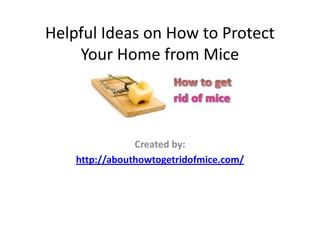 Helpful Ideas on How to Protect
    Your Home from Mice



                Created by:
    http://abouthowtogetridofmice.com/
 