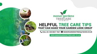 Helpful Tree Care Tips that Can Make Your Garden Look Great.pptx