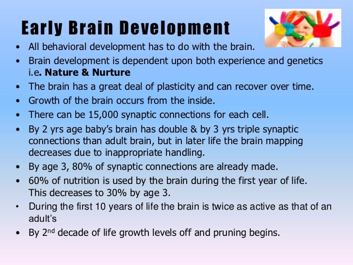 infant brain development