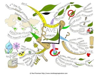 Helping Save Rainforests Mind Map
