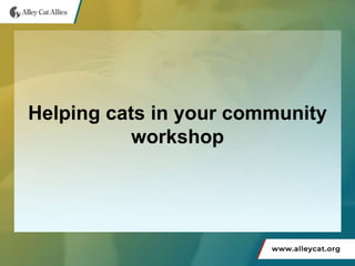Helping cats in your community
workshop
 