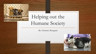 Helping out the
Humane Society
By: Christine Mongrain
 