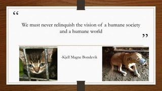 “
”
We must never relinquish the vision of a humane society
and a humane world
-Kjell Magne Bondevik
 