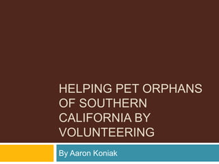 HELPING PET ORPHANS
OF SOUTHERN
CALIFORNIA BY
VOLUNTEERING
By Aaron Koniak
 