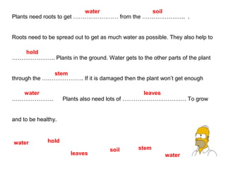 water soil
Plants need roots to get …………………… from the ………………….. .
Roots need to be spread out to get as much water as possible. They also help to
hold
………………….. Plants in the ground. Water gets to the other parts of the plant
stem
through the …………………. If it is damaged then the plant won’t get enough
water leaves
…………………. Plants also need lots of ……………………………. To grow
and to be healthy.
water hold
soil stem
leaves water