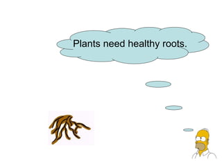 Plants need healthy roots.