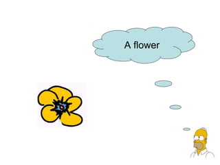 A flower