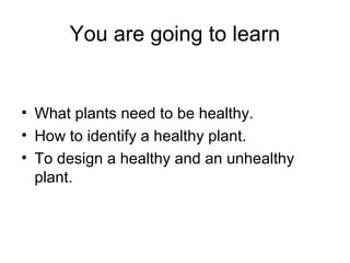 You are going to learn
• What plants need to be healthy.
• How to identify a healthy plant.
• To design a healthy and an unhealthy
plant.