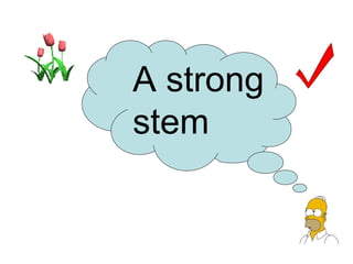 A strong
stem