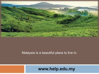 Malaysia is a beautiful place to live in.
www.help.edu.my