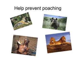 Help prevent poaching
 