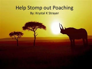 Help Stomp out Poaching
     By: Krystal K Strayer
 