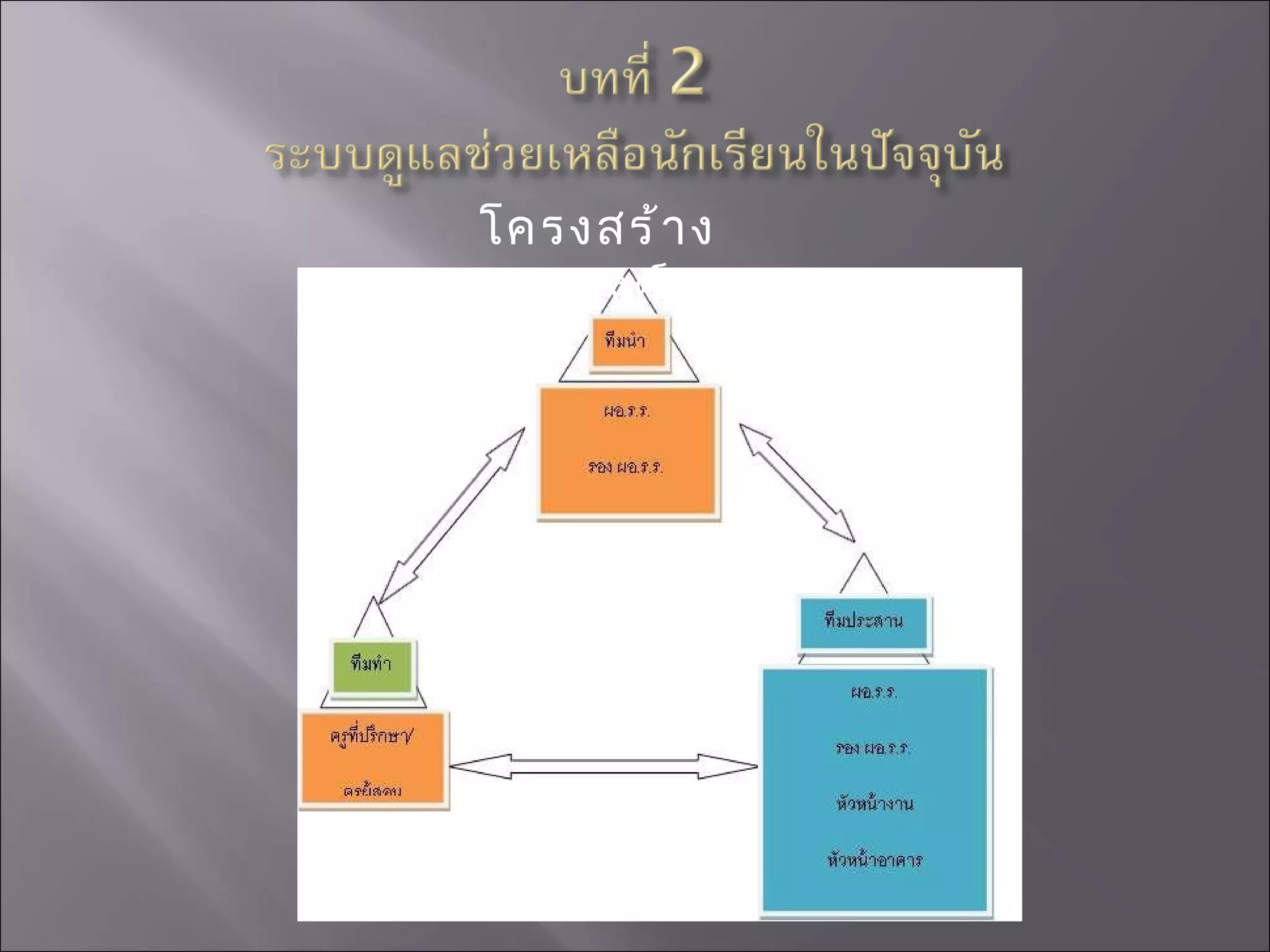 โครงสร้างขององค์กร 