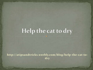 http://atipsandtricks.weebly.com/blog/help-the-cat-to-
dry
 